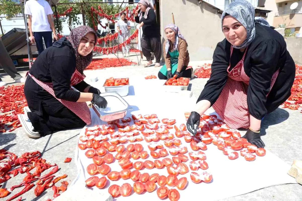 hatayda kadinlarin domates kurusu basarisi MIpFpSkn