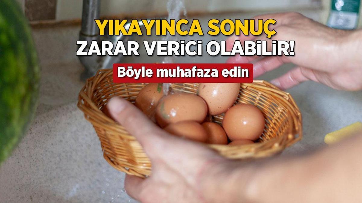 yikayinca sonuc salmonella bakterisi yumurtayi boyle muhafaza etmek sart uYW9ZAPj.jpg