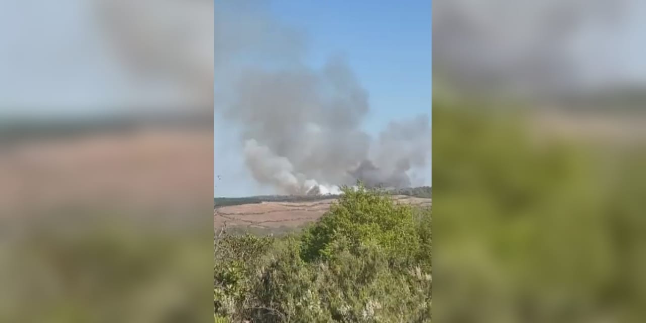 Beykoz’da Orman Yangını: İtfaiye ve Havadan Müdahale Başladı