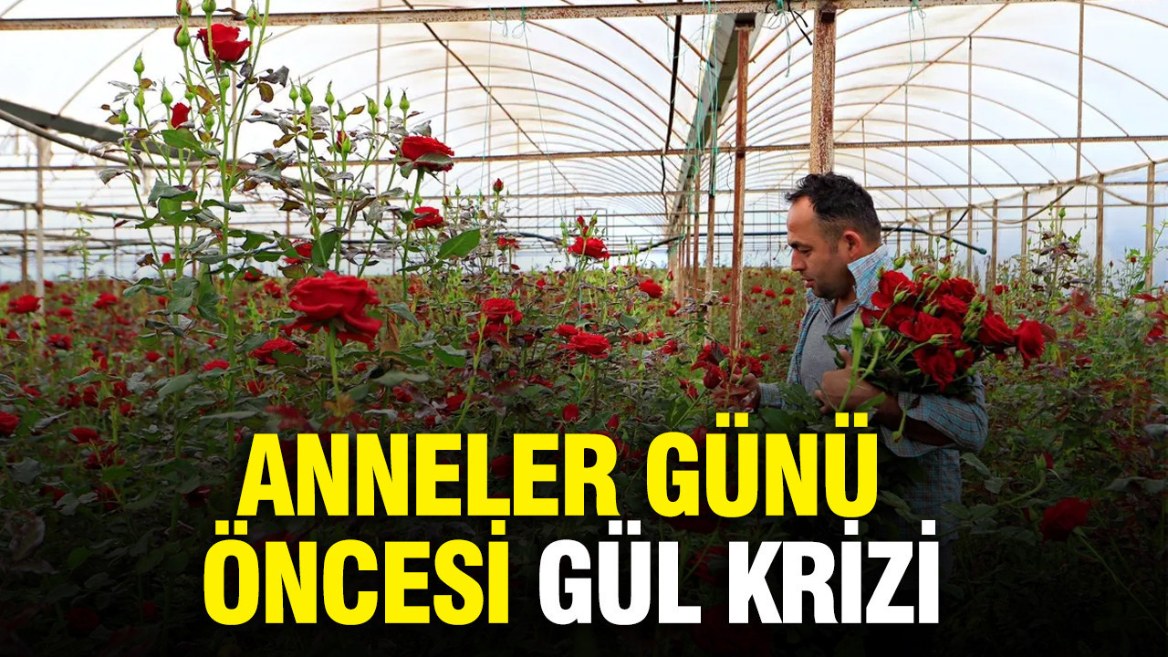anneler-gunu-oncesi-gul-krizi-7IDjfa4Z